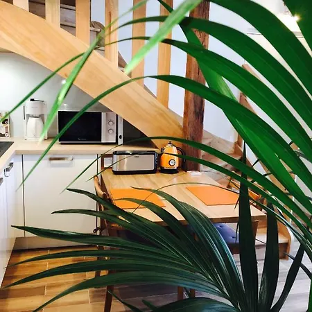 Appartement Urban Cocoon Urbain Eco-responsable Lyon